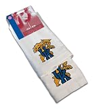 Kentucky Wildcats Kitchen Towel Combo