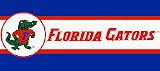 Florida Gators NCAA Licensed 7 H x 15' L Border