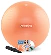 Reebok 65cm Stability Ball Kit with DVD Reebok 65cm Stability Ball Kit with DVD
