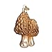 Old World Christmas Ornaments: Morel Mushrooms Glass Blown Ornaments for Christmas Tree