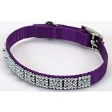 Coastal Adjustable Jeweled Purple Colored Nylon Dog Collar