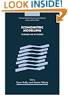 Econometric Modelling: Techniques and Applications (National Institute of Economic and Social Research Economic and Social Studies)