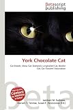 York Chocolate Cat