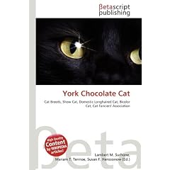 York Chocolate Cat