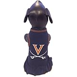 NCAA Virginia Cavaliers Cheerleader Dog Dress
