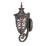 Nuvo Lighting Aston Medium Outdoor Wall Mount