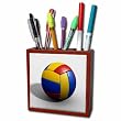 Volleyball Pencil Holder