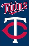 MLB Minnesota Twins Applique Banner Flag