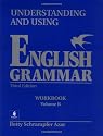 Understanding Using English Gr