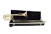 Palatino F-Trigger Trombone with thermoplastic case