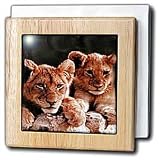 Wild animals - African Lion Cubs - Tile Napkin Holders