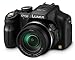 Panasonic DMC-FZ150K 12.1 MP Digital Camera with CMOS Sensor and 24x Optical Zoom (Black)