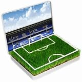 Grow Your Own Goodison Park Pitch