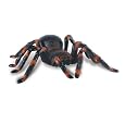 Uncle Milton Radio Control Tarantula