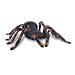 Brainstorm - RC Tarantula ferngesteuerte Vogelspinne