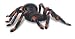 Uncle Milton Radio Control Tarantula