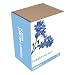 Gift Republic: Grow It. Grow Your Own Forget Me Not