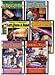 Science FUNdamentals DVD: The Earth Is a Giant Magnet - Magnetism