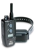 Training Collar with pager & LCD screen - 2-dog D1702