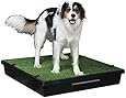 PetSafe Pet Loo Portable Pet Potty - Large
