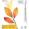 Adobe Creative Suite Standard 2.0 日本語版 Windows版 アップグレード版
