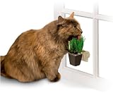 Smart Cat 4008 Window Wheat Grass Holder - Case of 6