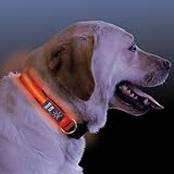 Eigenschaften Schecker  / LED Hundehalsband mit Lichtleitertech rot Gr. S,25-33cm