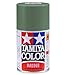 Spray Lacquer TS-78 Field Gray 2 - 100ml Spray Can 85078
