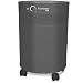 Airpura Industries T600 Air Purifier- Specially Designed to Filter Harmful Carcinogens Found in Tobacco Smoke