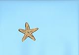Blue Star Fish Wallpaper