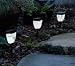 Gama Sonic GS-34W Decorative Tulip Solar Light (White)
