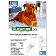 Advantage Flea Control for Dogs 55+ lbs.