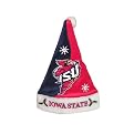 Iowa State Cyclones Santa Hat