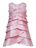 Rare Editions Little Girls 4-6X PINK SEQUIN SHUTTER-PLEAT SHANTUNG Special Occasion Wedding Flower Girl Easter Birthday Party Dress