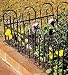 Outdoor Living : Iron Fence Edging