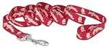 USC-Trojans Dog Leash- 6 ft x 1 inch wide
