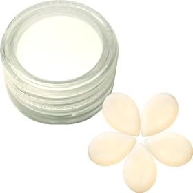 DNails�J���[�p�E�_�[/�s���A�z���C�g