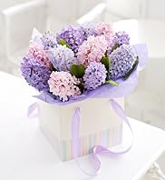 Spring Hyacinth Gift Bag