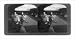 Historic Print (L): Sorting cacao for shipment to American and European chocolate fac...