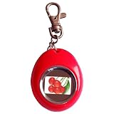 Sungale JC110 Keychain Digital Photo Frame