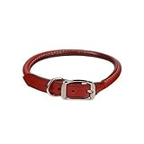 UPC 800443068809 product image for Petco Rolled Leather 3/4