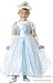 Child's Toddler Princess Cinderella Costume (2-4T)