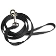 Premier Pet Leash 3/4-Inch by 6-Feet Black