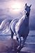 HUGE LAMINATED ENCAPSULATED Christian Riese Lassen Arabian Nights White Horse Poster Measures 36 x 24 inches (91.5 x 61 cm )