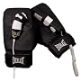 Everlast Boxing Gloves