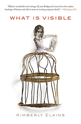 What Is Visible: A Novel, by Kimberly Elkins