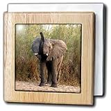 Review 3dRose LLC  / Elephant - 6 Inch Tile Napkin Holder