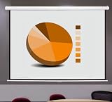 Motorized Electric Auto Projector Projection Screen 100 16:9 4:3 Display HD