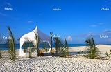 418dKyQATBL. SL160  Wedding Tent On The Morning Beach Wall Decal   36W x 24H Removable Graphic Reviews