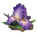 Andrea by Sadek Large Purple Iris Porcelain Flower Figurine